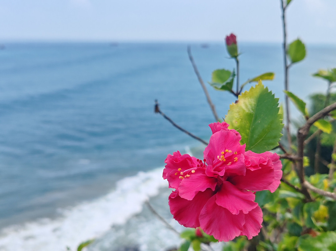 Ayushi Ayurvedic Retreat-瓦卡拉必去景点