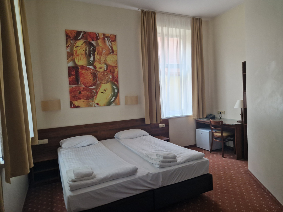 克莱佩达酒店住宿-Memel Hotel Klaipeda