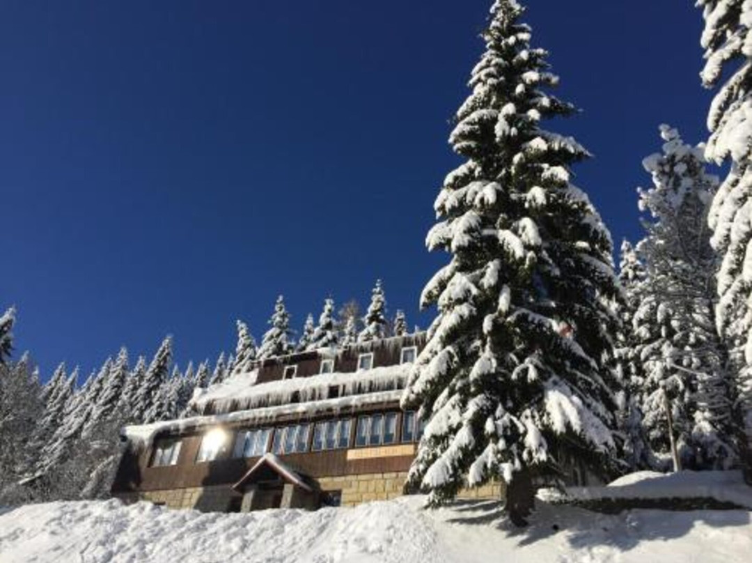 Hotel Flora Dolni Misecky主图