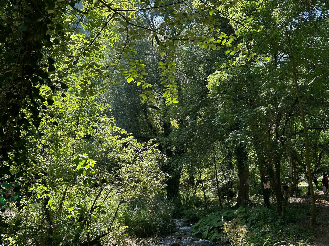 Riserva Naturale Gole del Sagittario-Anversa degli Abruzzi必去景点