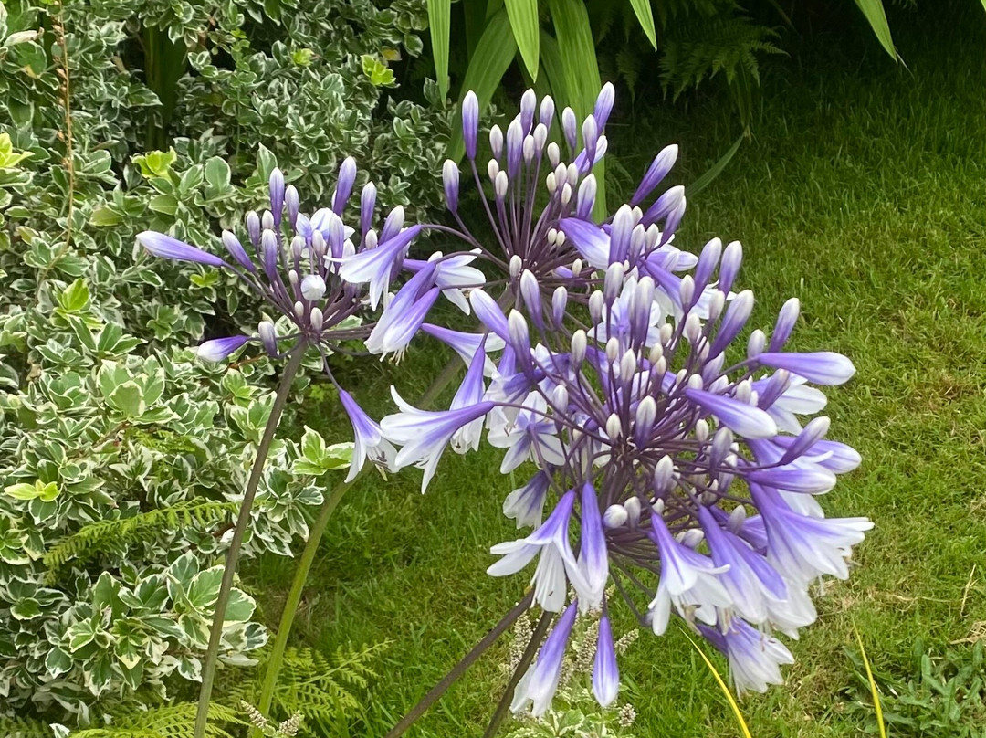 Geilston Garden-Dumbarton必去景点