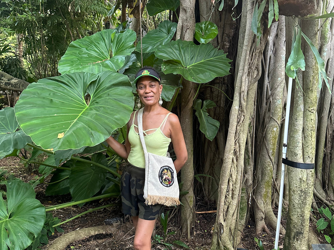 Deerfield Beach Arboretum-迪尔菲尔德比奇必去景点