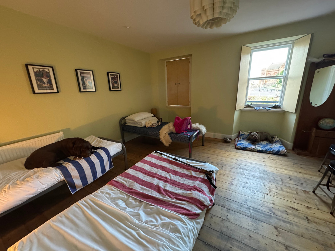 The Dolphin Inn Hostel主图