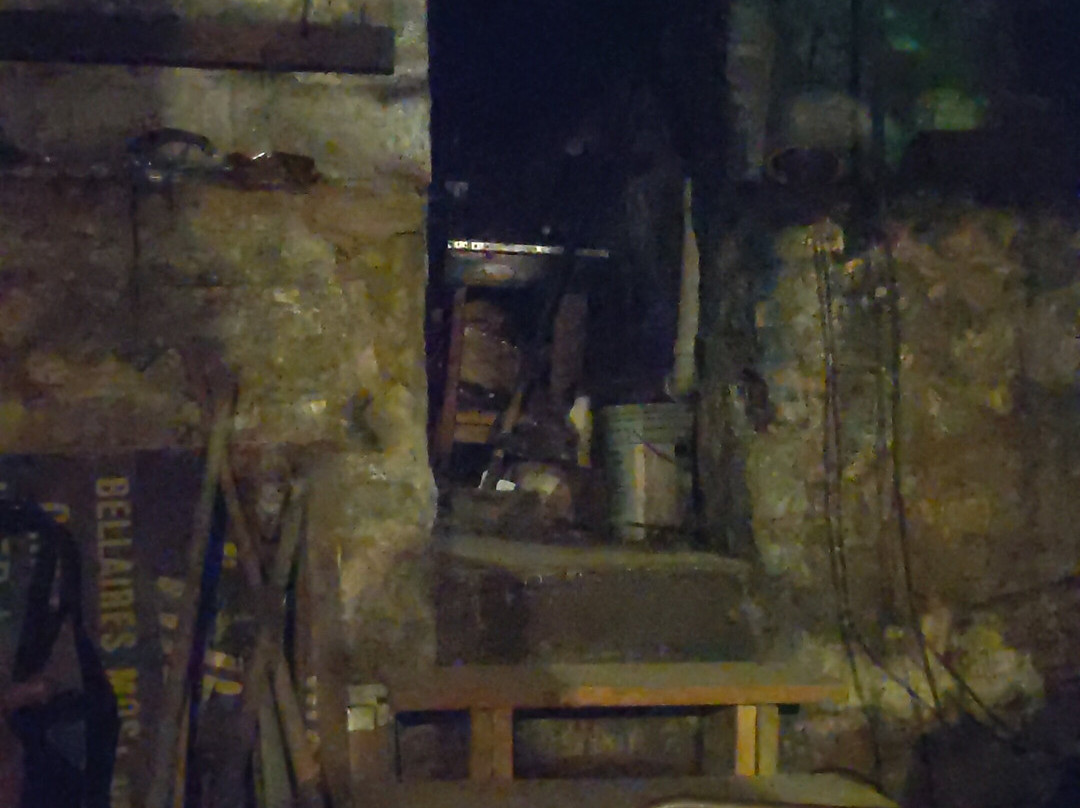 The Ross House / Paranormal Tour-Bellaire必去景点