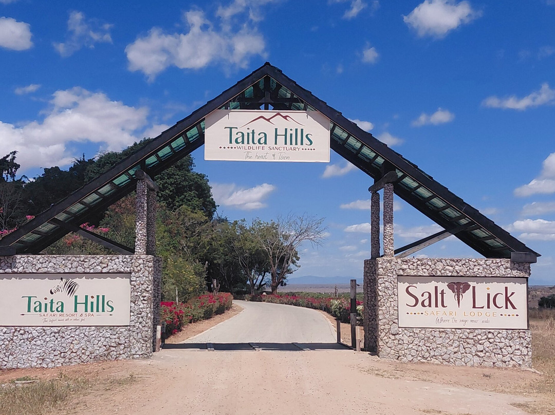 Taita Hills Wildlife Sanctuary-西察沃国家公园必去景点