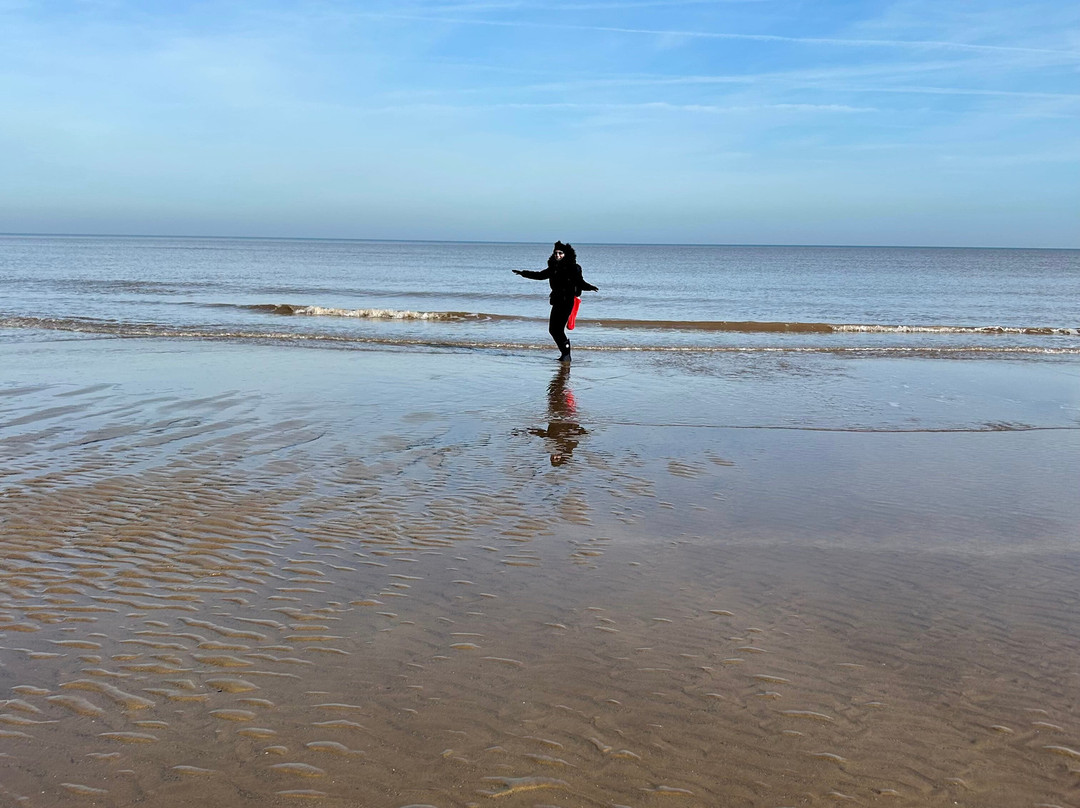 Mappleton Beach-Mappleton必去景点