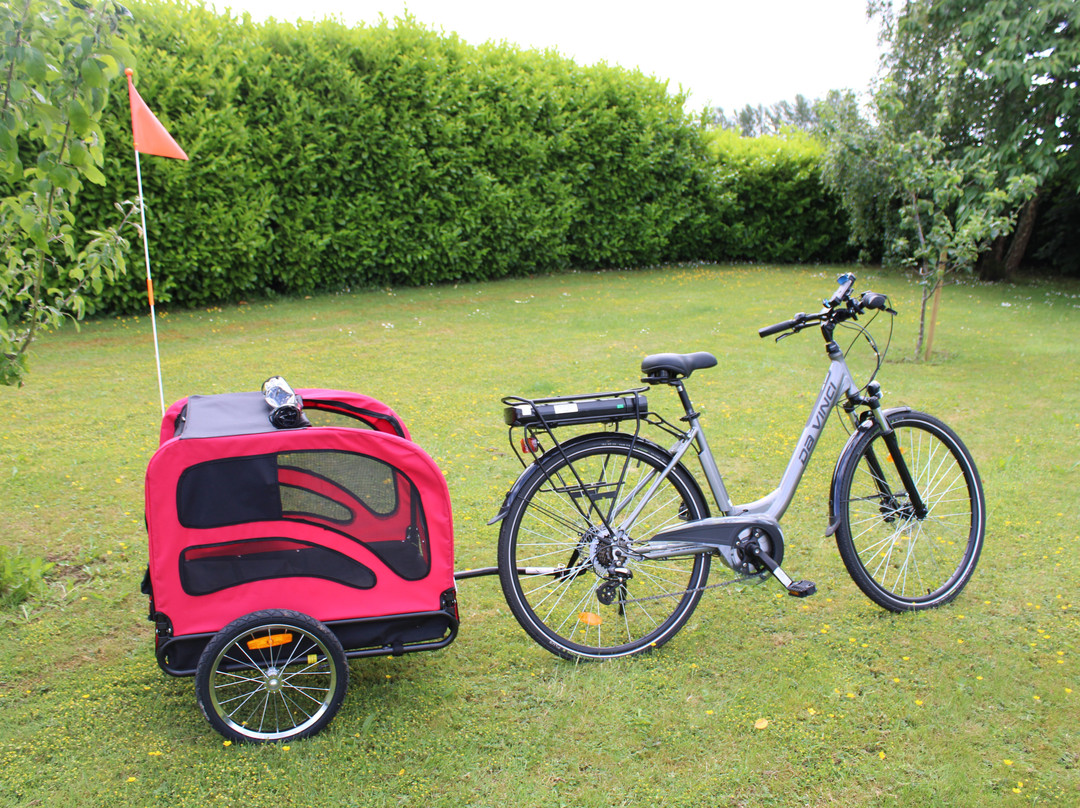Kildare Bike hire