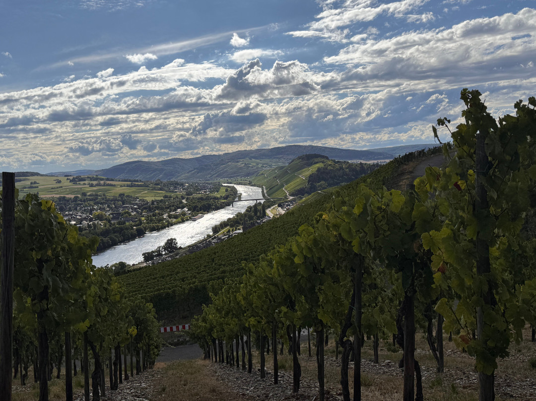 Weingut Kochan & Platz-Lieser必去景点