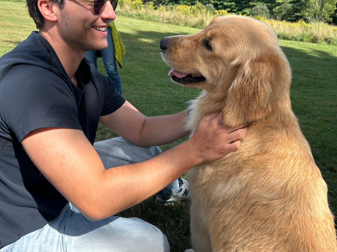 Golden Dog Farm-Jeffersonville必去景点