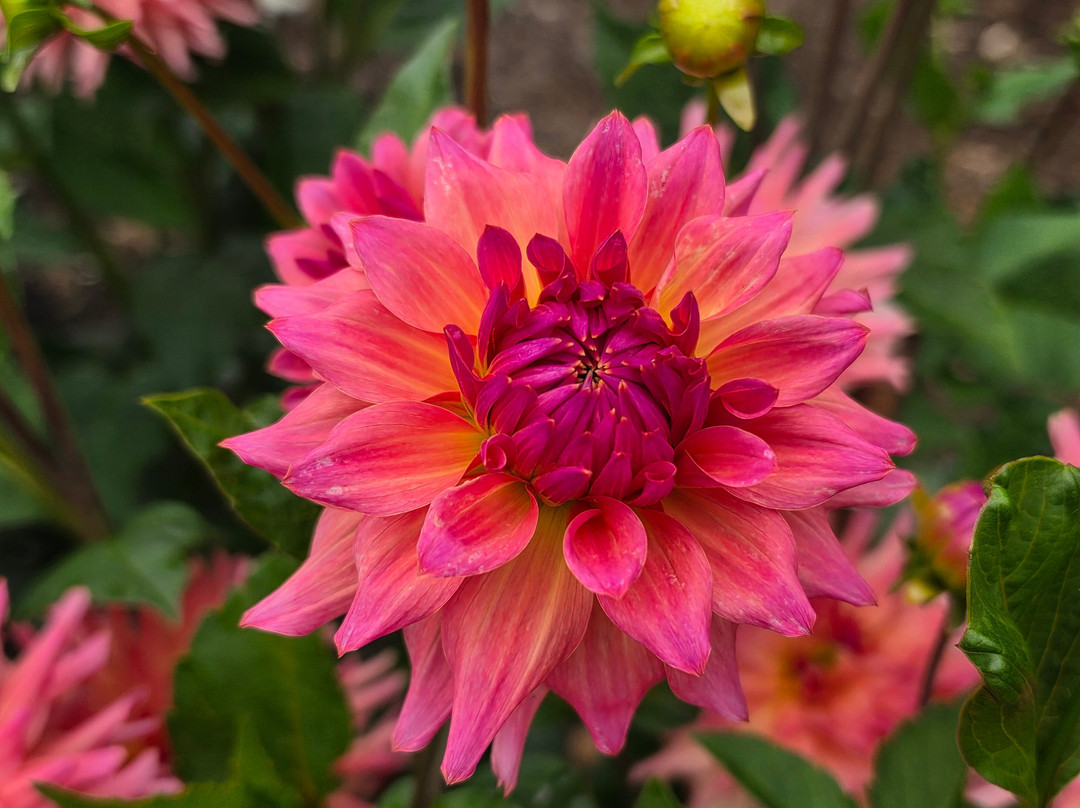 Highline SeaTac Botanical Gardens-西塔科必去景点