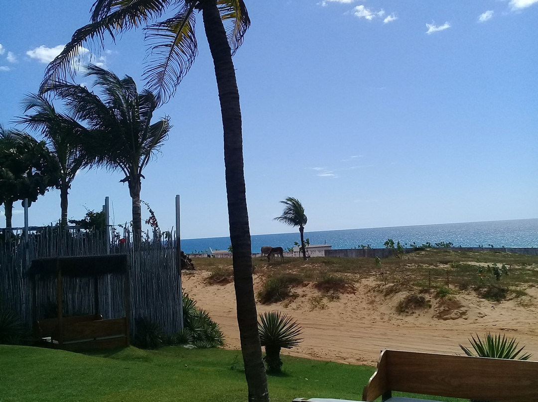 Jericoacoara Beach-杰里科科拉必去景点