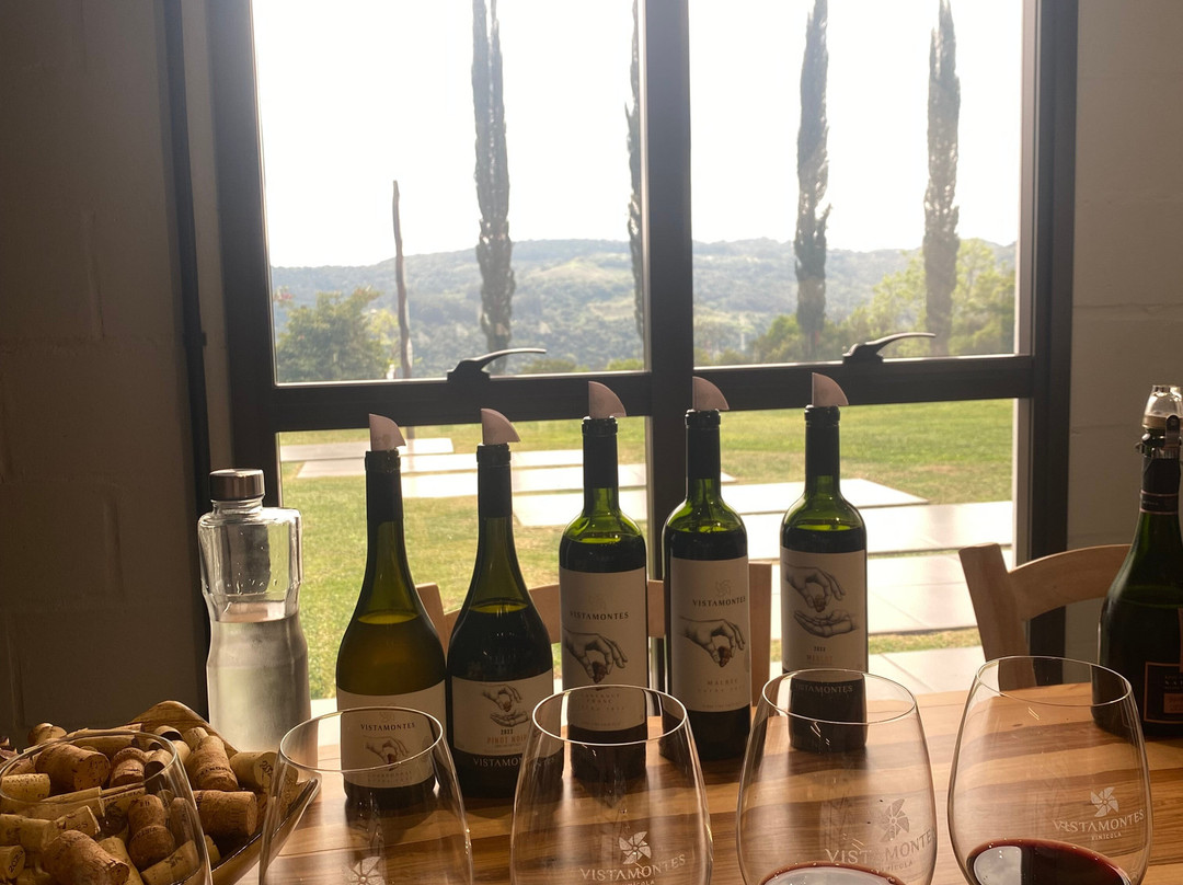 Vistamontes Vinicola-本图贡萨尔维斯必去景点