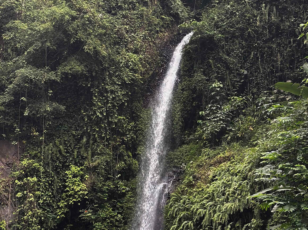 Bombaim Waterfalls-Bombaim必去景点