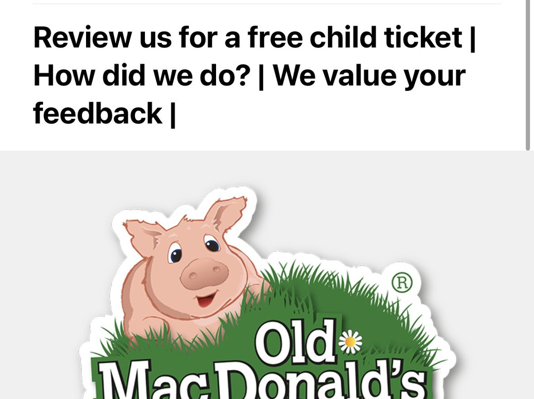 Old MacDonald's Farm-布伦特伍德必去景点