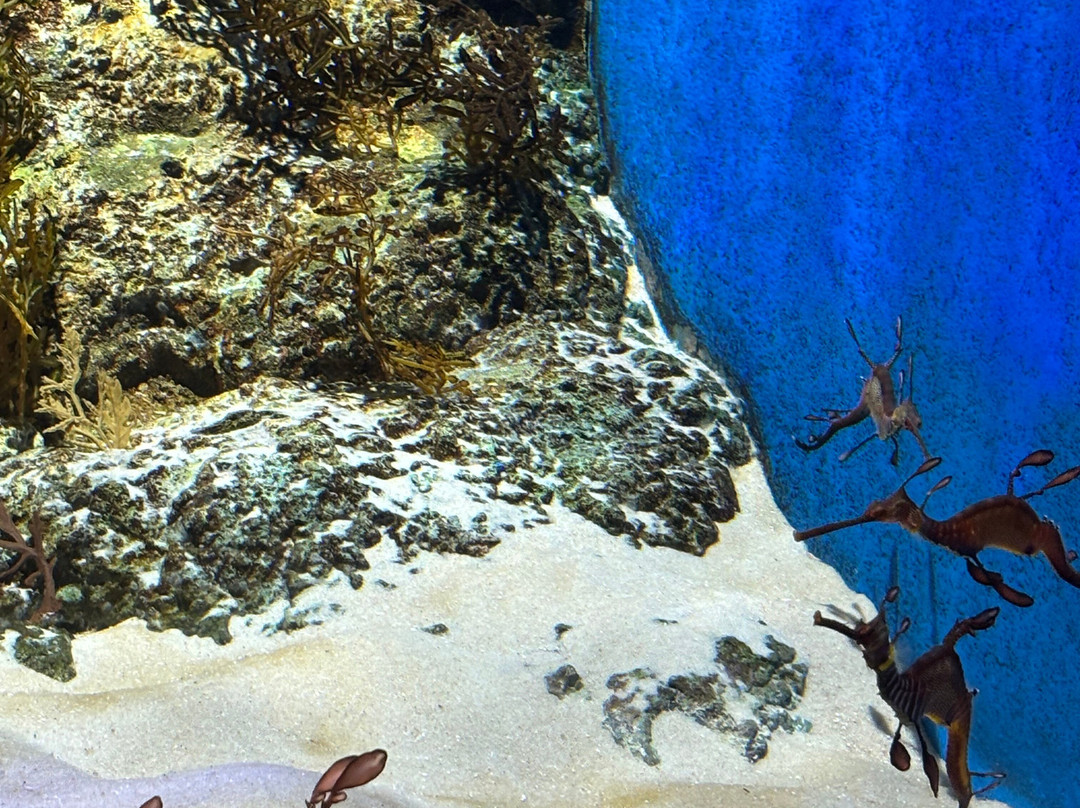 新加坡圣淘沙名胜世界逸濠酒店主图