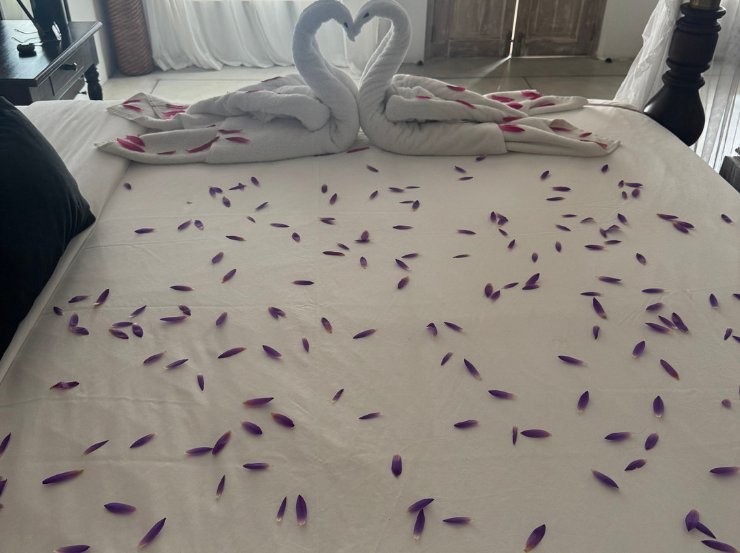 哈里察别墅 SPA 酒店主图