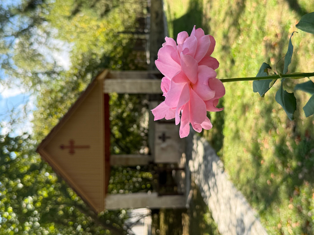 Chotari Albanian-Udi Church-Nij必去景点