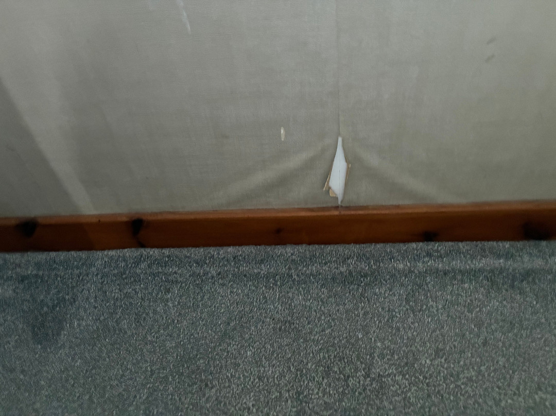 布雷利亚客房主图