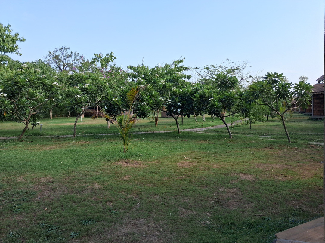 Pench Tiger Reserve-Kohka必去景点
