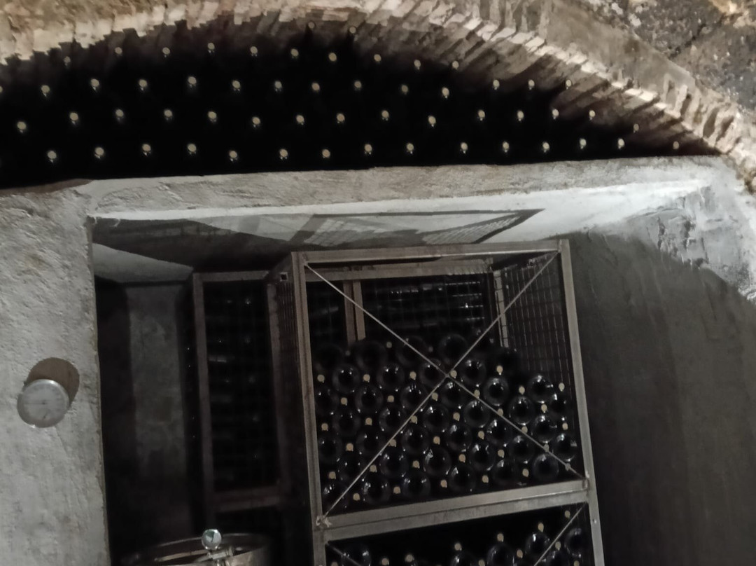 Bodegas Vergara Verde-Cenicero必去景点