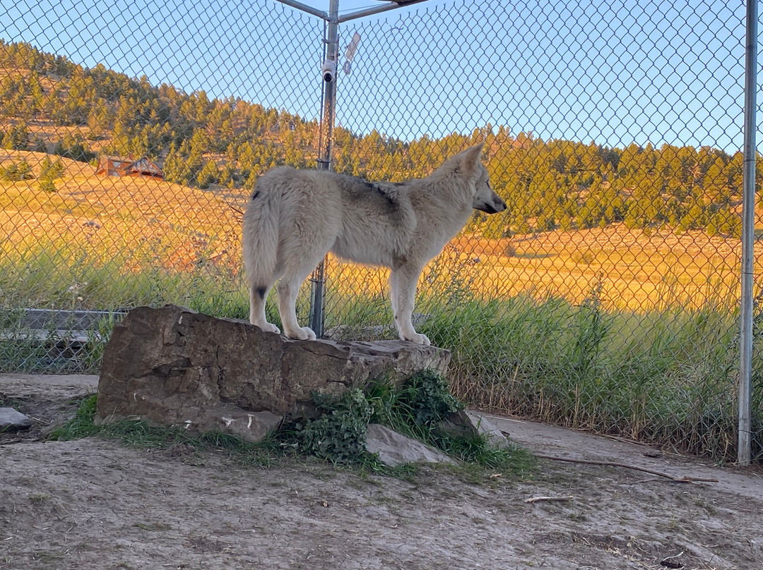 Howlers Inn Bed & Breakfast and Wolf Sanctuary主图