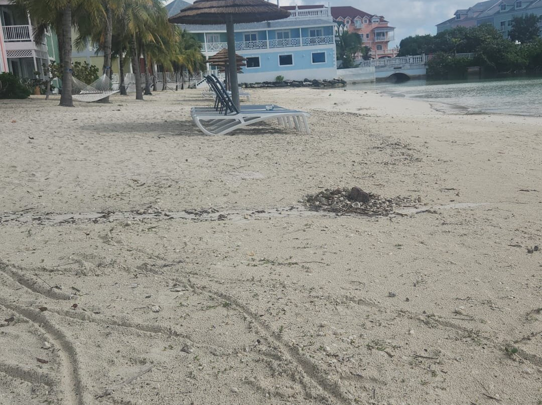 沙港海滩度假村主图