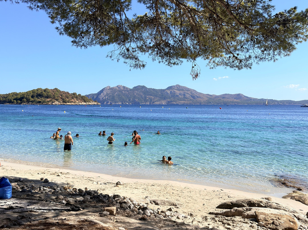 Playa de Formentor-Formentor必去景点