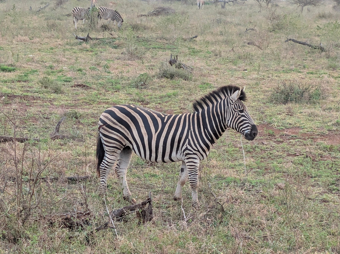 Southern Kruger Safaris-玛洛斯帕克必去景点
