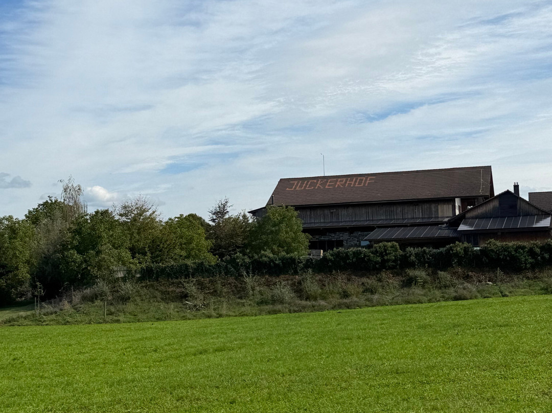Juckerhof Erlebnisbauernhof-Seegraeben必去景点