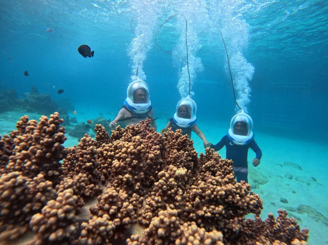 Bali Hai Diving Adventures-蓝梦岛必去景点