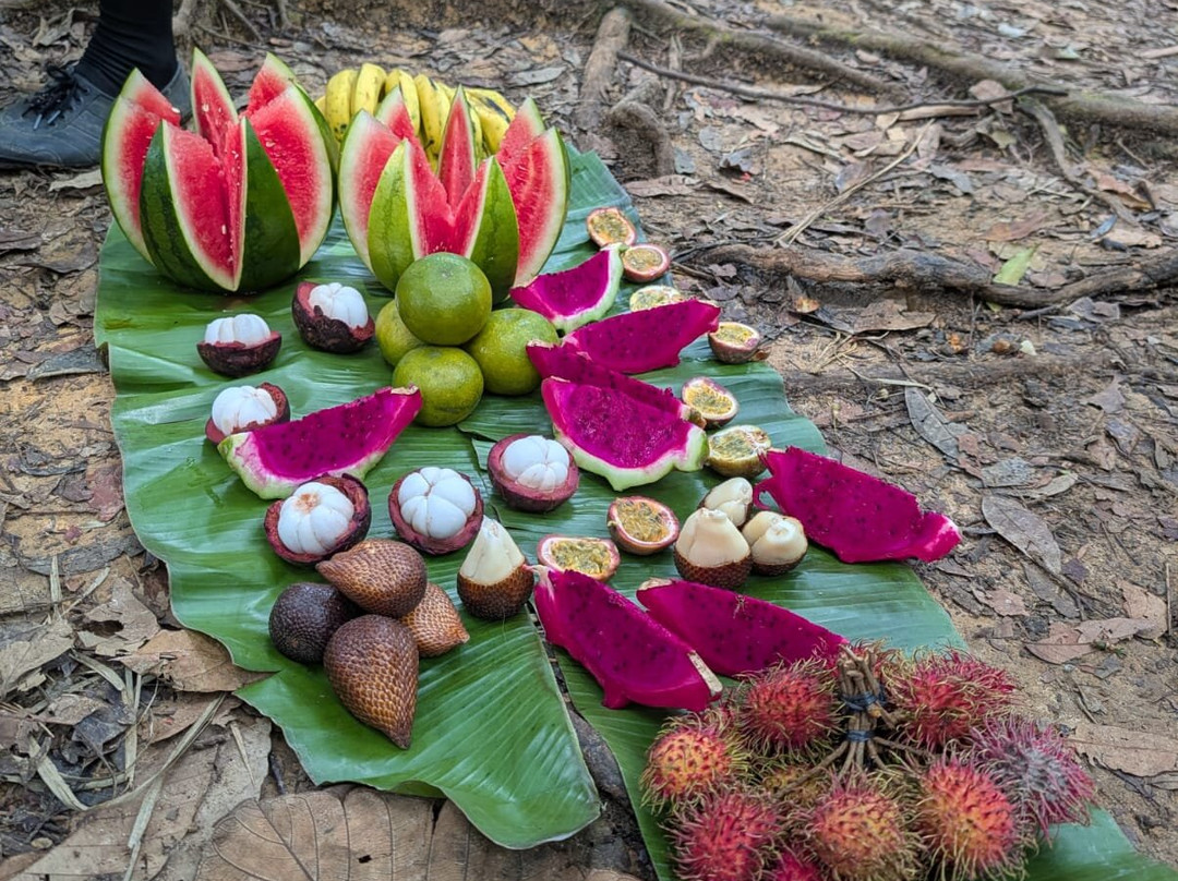 Bukit Lawang Trekking-武吉拉旺必去景点