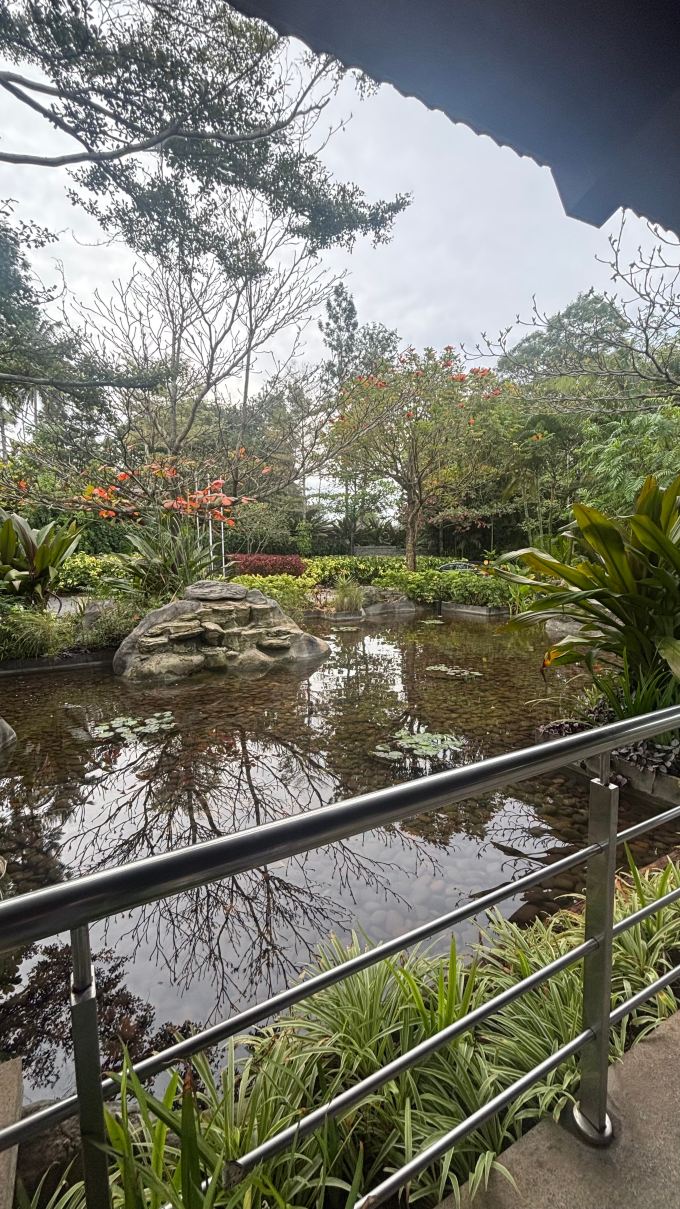 紫色棕榈水疗度假村-旅行者