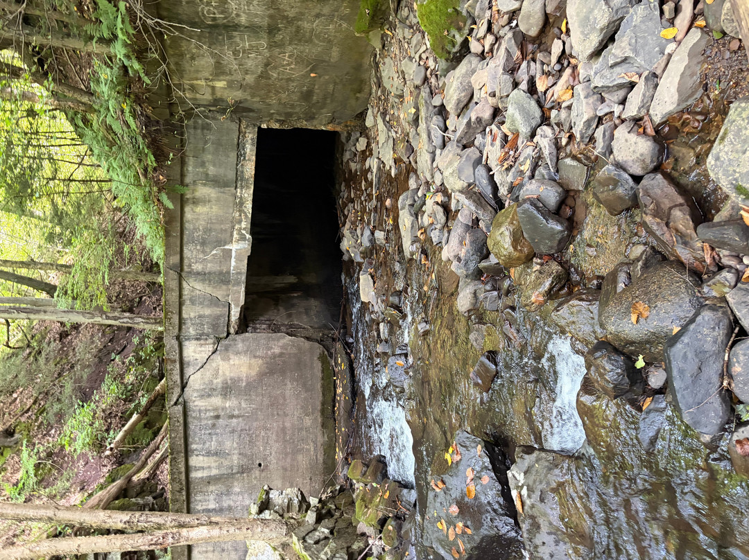 Seven Tubs Recreation Area-威尔克斯-巴里必去景点