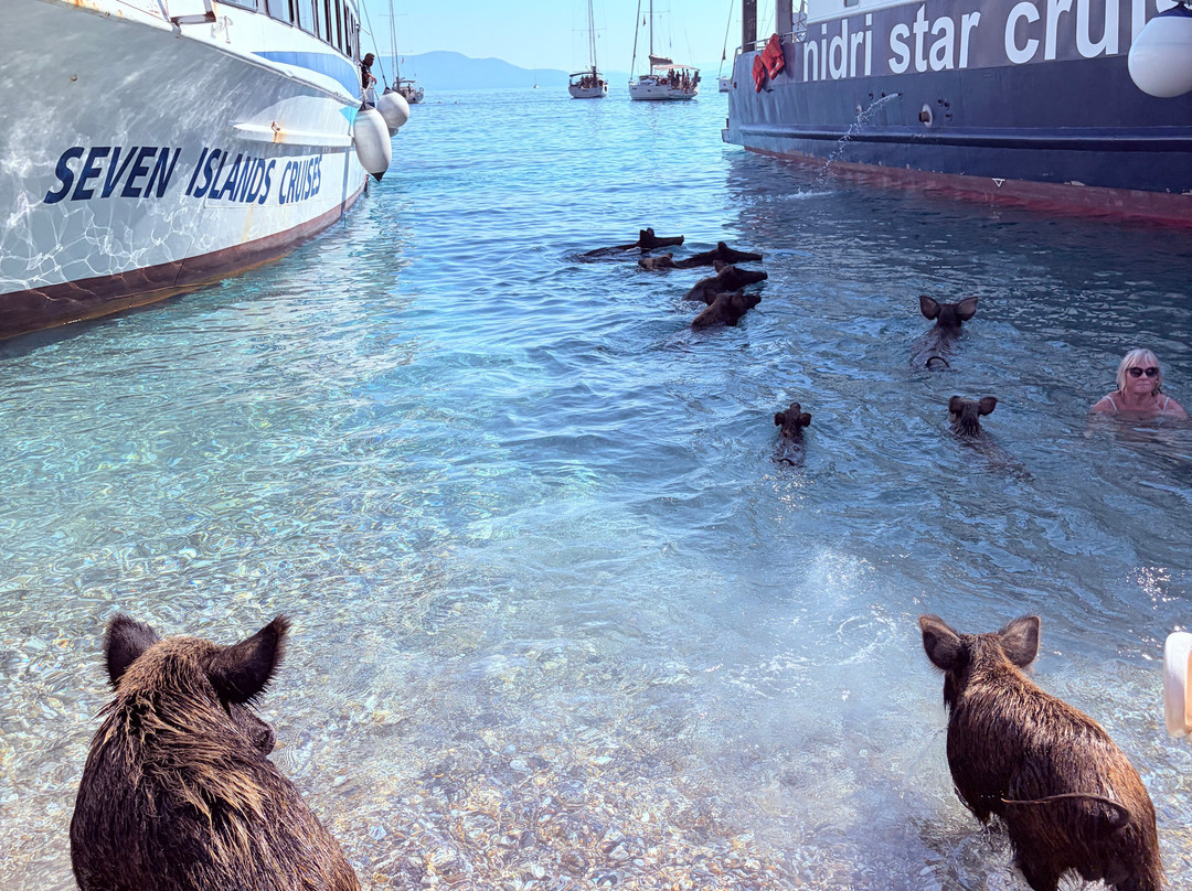 Nidri Star Cruises-Ellomenos必去景点