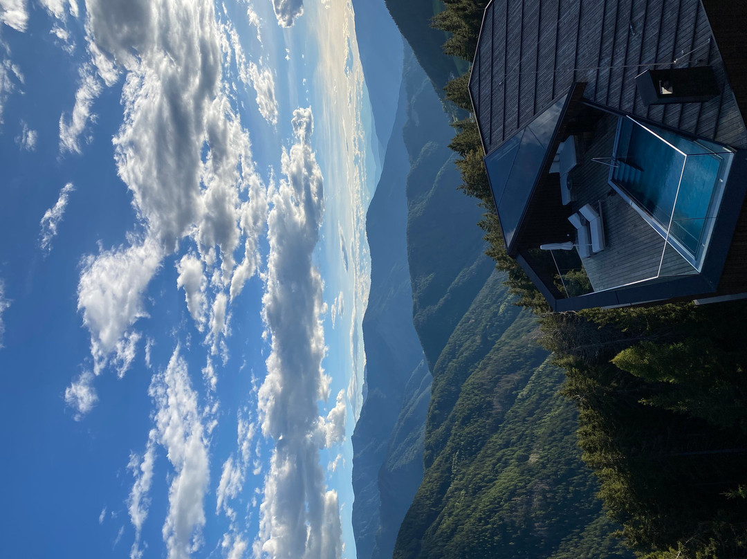 福雷斯蒂斯酒店Forestis Dolomites（意大利）主图