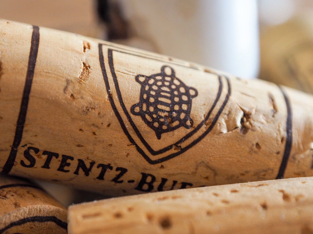 Vins Alsace Domaine Stentz Buecher-维特塞姆必去景点