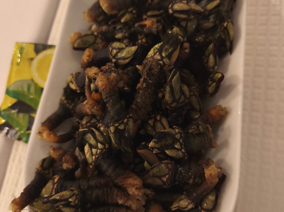 Do Mar À Mesa
