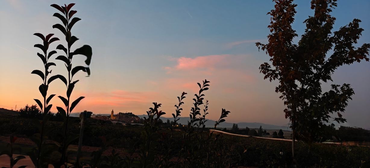 Bodega Hotel Fya-旅行者