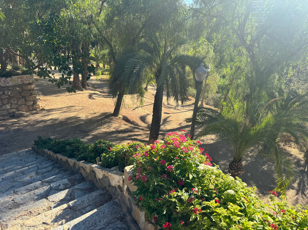 Palmeral of Elche-埃尔切必去景点
