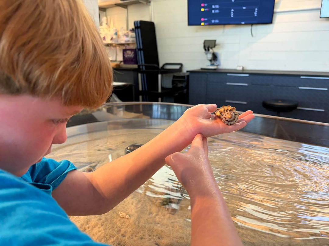 Tybee Island Marine Science Center-泰碧岛必去景点