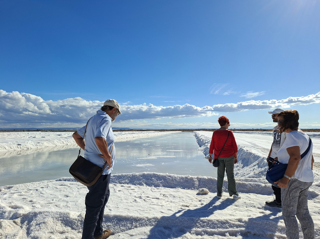 Riserva Naturale di Stato Saline di Margherita di Savoia-Margherita di Savoia必去景点