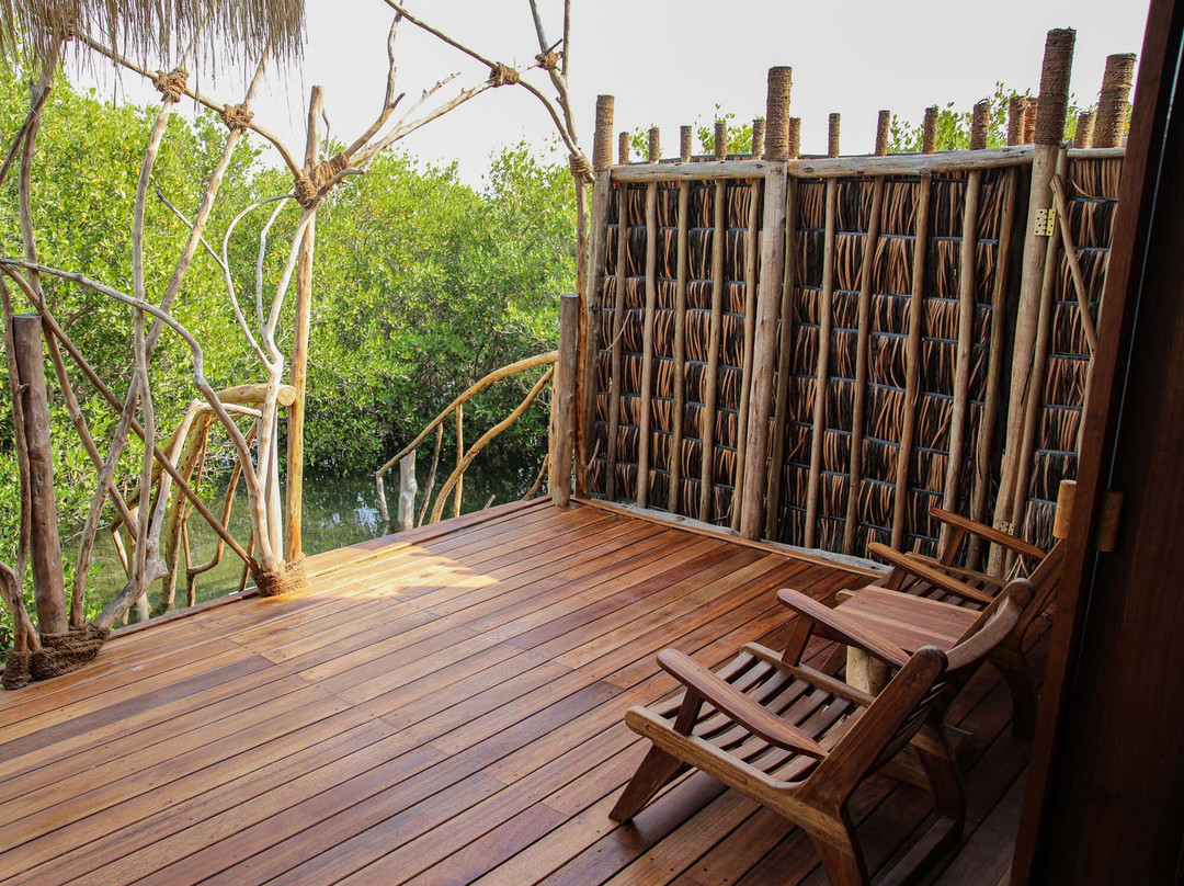 Casa Mikoko