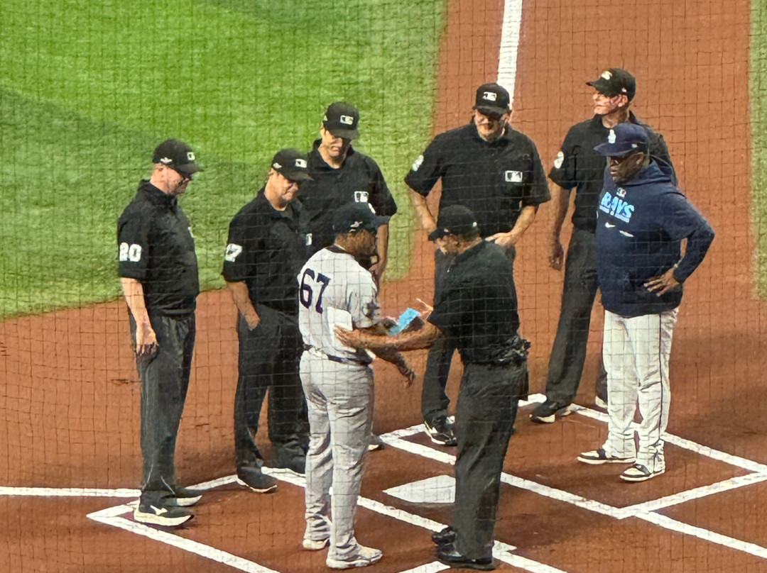 Tropicana Field-圣彼德斯堡必去景点