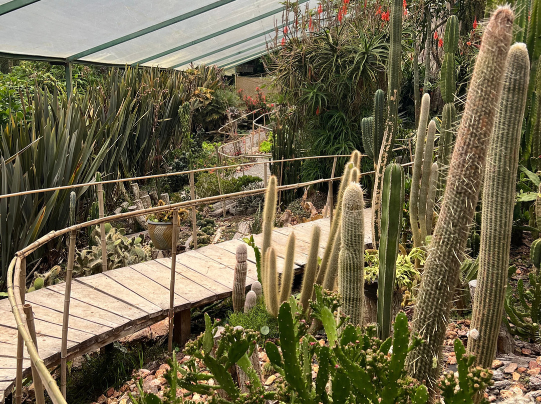 Finca Dracula-Cerro Punta必去景点