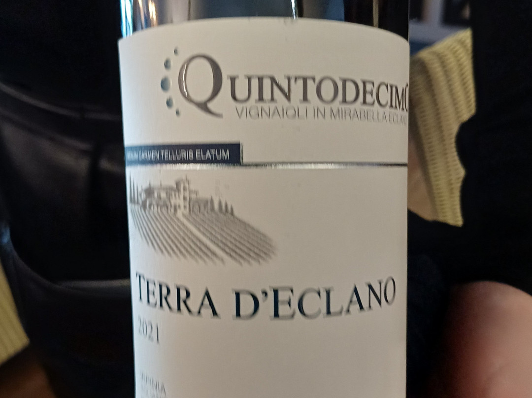 Il Gabbiano