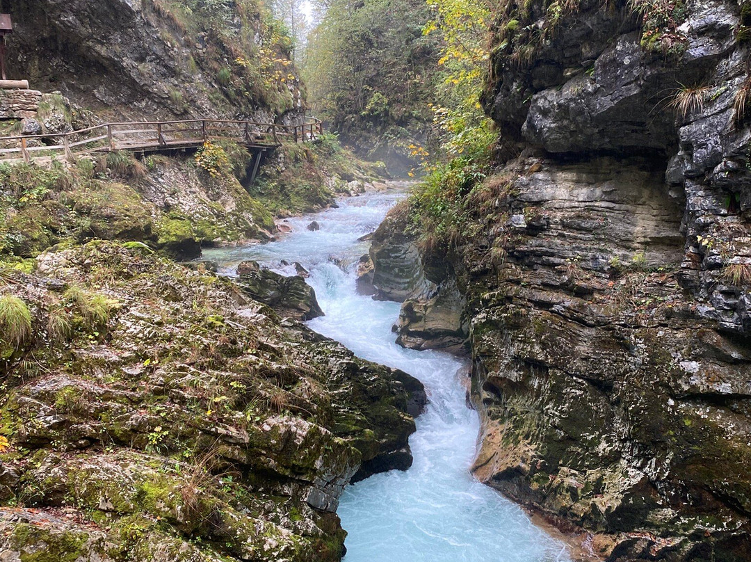 文特加峡谷（Soteska Vintgar）-Zgornje Gorje必去景点