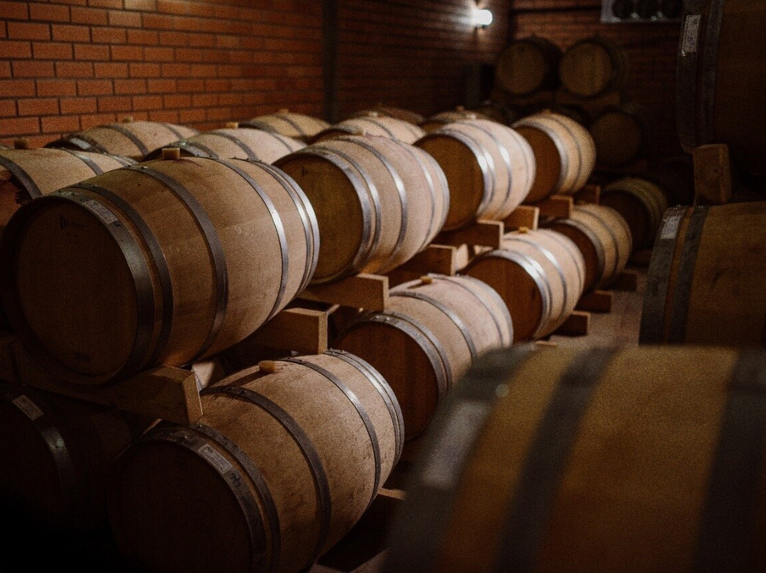 Vinicola Santa Augusta景点图片