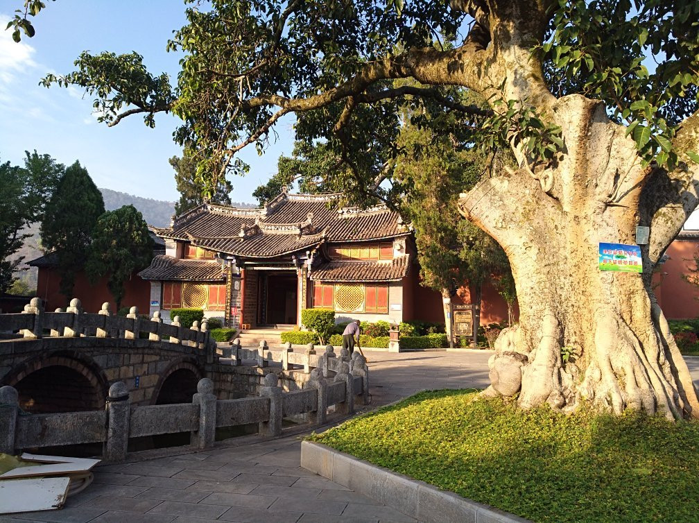 2024年1月弥渡县旅游景点攻略-弥渡县旅游住宿,-弥渡县旅游美食-猫途鹰
