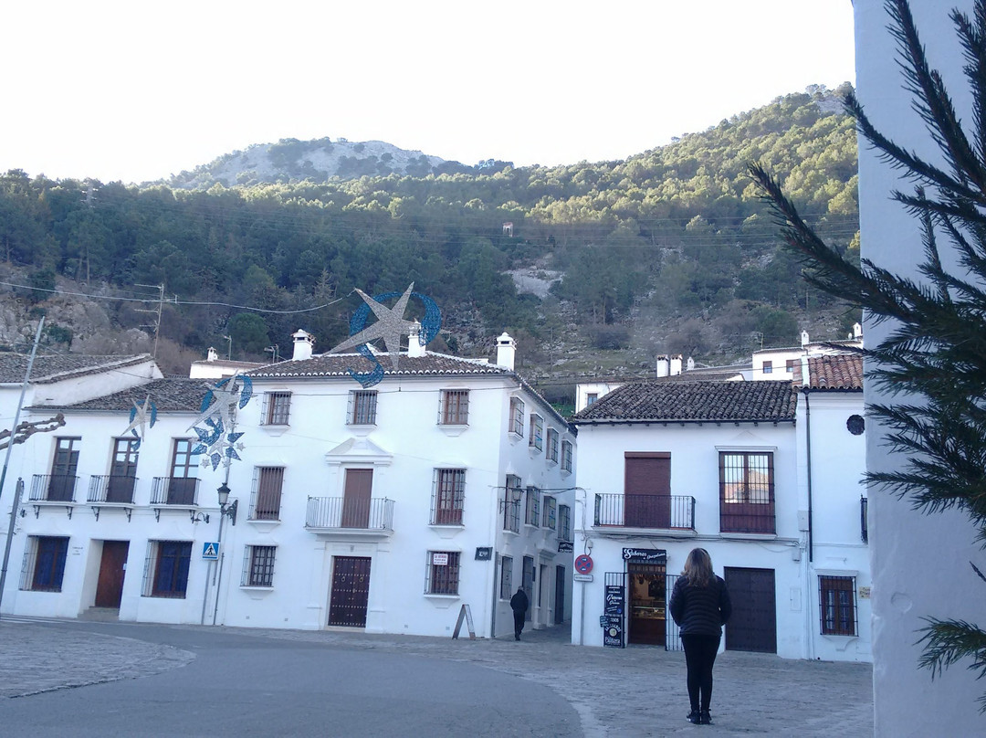 Sierra de Grazalema Natural Park旅游攻略图片