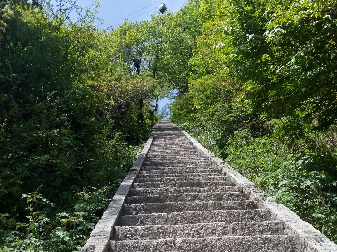 伏牛山滑雪度假区-栾川县必去景点